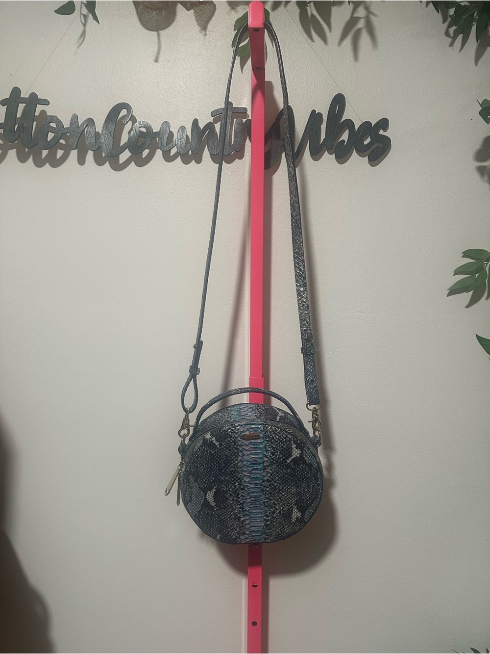 Brahmin Round Crossbody Bag in Teal Snake-Print